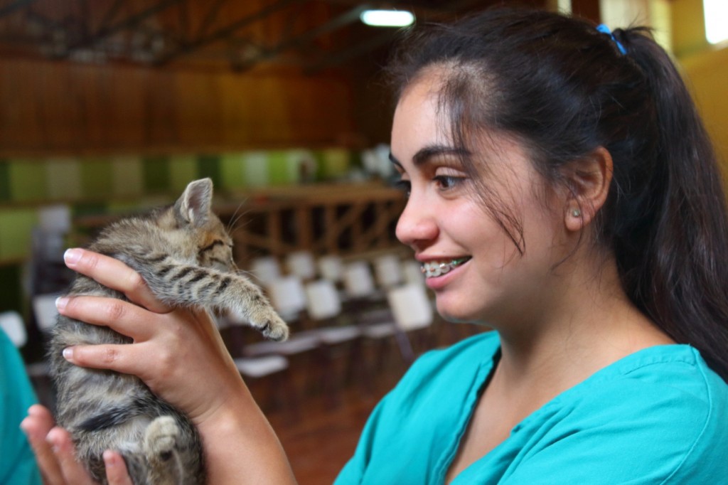 USS Puerto Montt Patagonia inició atención en su Hospital Clínico Veterinario