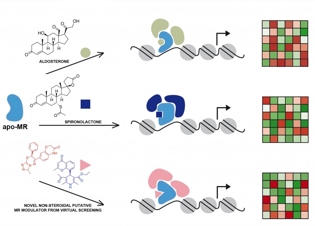 MR_target-genes-expression-profiles_compounds