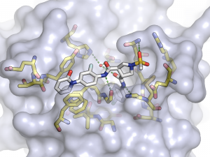 diana molecular