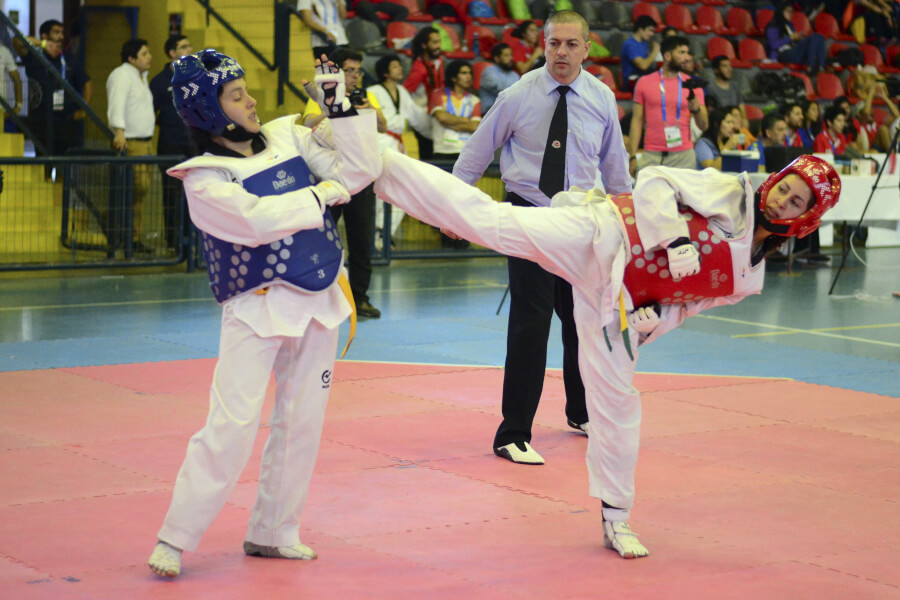 Taekwondo LDES