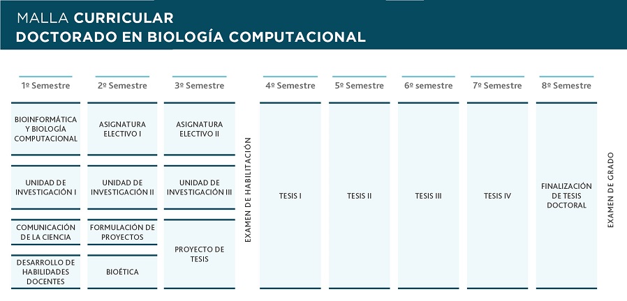 MALLA_BIOLOGÍA_COMPUTACIONAL