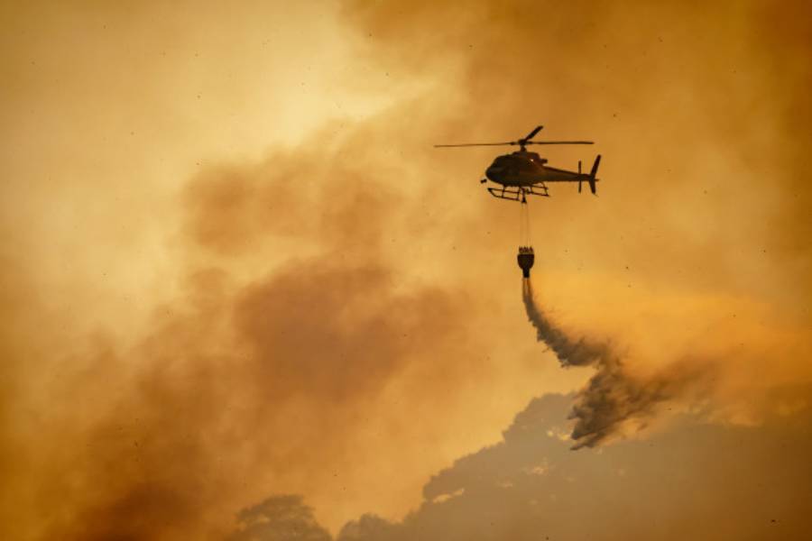 Incendios forestales causas y efectos de un mal evitable