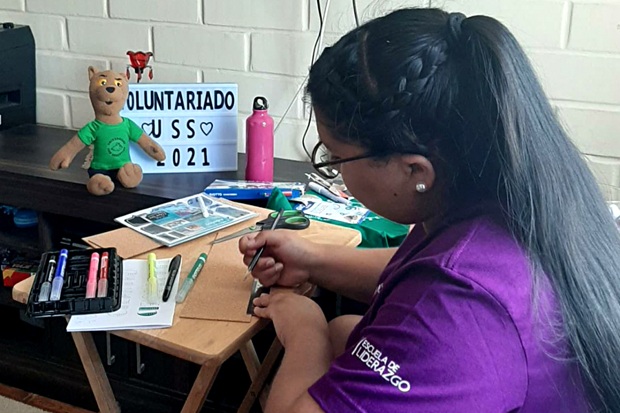 Voluntariado de Verano en Valdivia se hizo de forma virtual